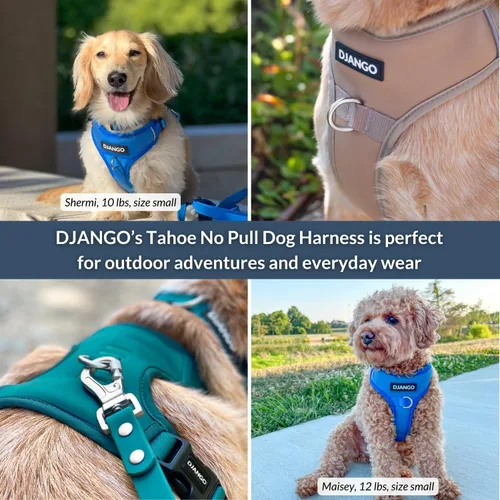 Vista 6 de DJANGO Tahoe Arnés para perro sin tirones, arnés para perros pequeños con clips delanteros y traseros para uso diario, ajustable, acolchado