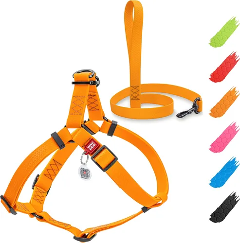 Vista 10 de WAUDOG Juego de arnés y correa impermeable para perro de 6 pies, ajustable, resistente con cierre de metal duradero y placa QR para perro