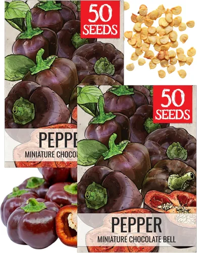 Vista 19 de Seed Needs - Semillas de pimiento arcoíris para plantar verduras, 1 paquete