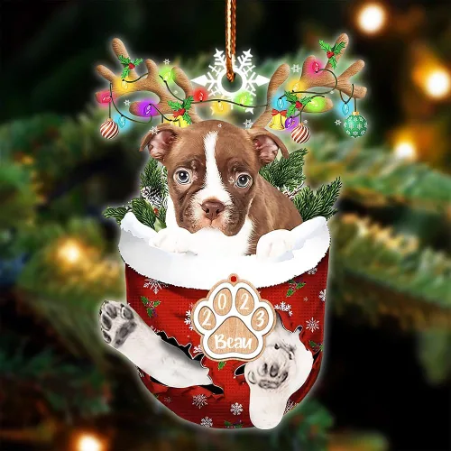 Vista 47 de NAZENTI Adorno Navideño de Bolsillo Personalizado de Affenpinscher en la Nieve, Adorno de Forma Acrílica de Perro, Adorno de Navidad 2023, Adorno