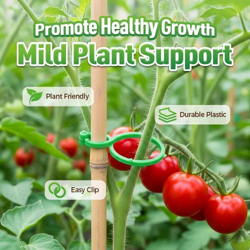 Vista 2 de Clips de soporte para plantas, clip de plástico seguro para plantas, clips de enrejado para tomate, uva, vid, verduras, clip de fijación de plantas