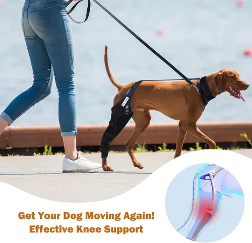 Vista 5 de Rodillera para perro para ACL, dislocación de la rodilla, artritis, envoltura completa, fácil ajustable, soporte adicional, reduce el dolor