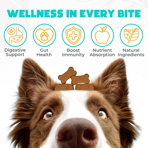 Vista 2 de Probióticos masticables para perros, 60 piezas, apoyo para la salud digestiva e intestinal, masticables probióticos para perros con enzimas e