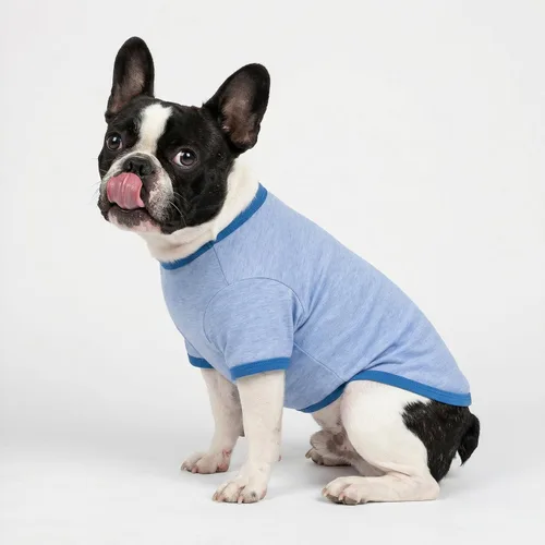 Vista 5 de Fitwarm Paquete de 3 camisas para perro de color liso, ropa clásica de verano para perros pequeños, niños y niñas, traje ligero para mascotas, azul