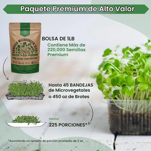 Vista 3 de Organo Republic Semillas de Rúcula para Germinación y Microgreens - Kit de Semillas de Brotes Sin OGM, Reliquia, Bolsa Resellable de 1 libra
