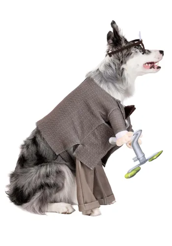 Vista 4 de Disfraz Disney Pixar Carl de Up para Perro Multicolor