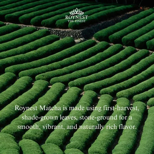 Vista 3 de Roynest Polvo de matcha orgánico certificado prémium – Matcha 100% puro para lattes helados, batidos, bebidas frías y hornear, energía limpia