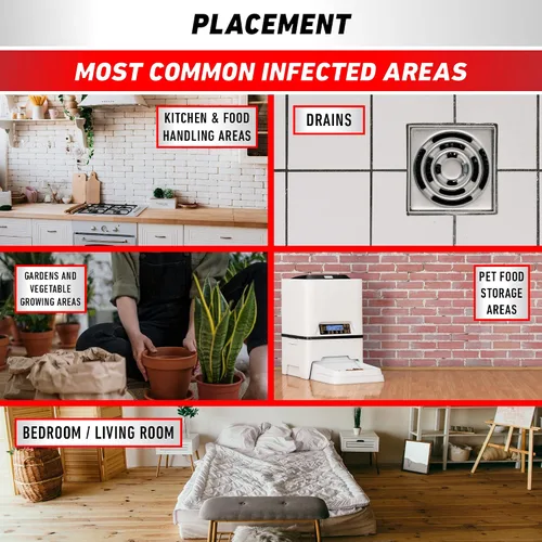 Vista 5 de Trampas para Hormigas en Interior por Ortho Home Defense 4 piezas - Trampa de Hormigas Metálica y Adhesiva para Interior y Exterior - Trampa