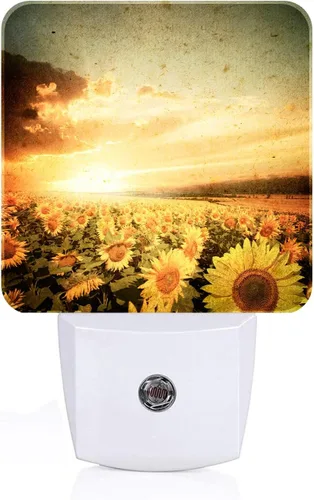 Vista 12 de Luz nocturna de camiones de dibujos animados, luces nocturnas enchufables con sensor de atardecer a amanecer para escaleras, pasillo, dormitorio