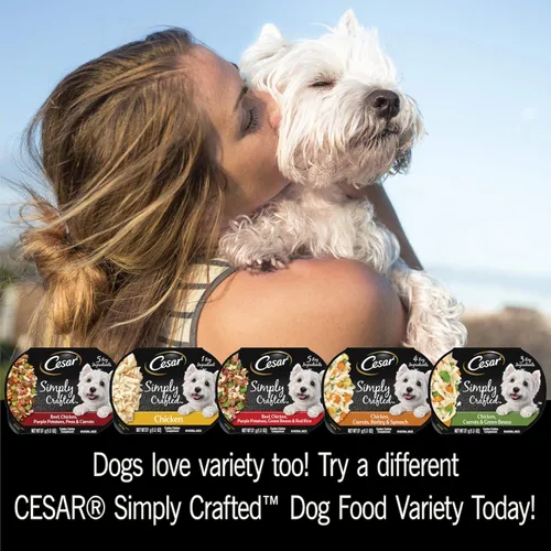 Vista 9 de Cesar, comida húmeda para perros de fabricación simple, 37 g. Empaque de 10 unidades.
