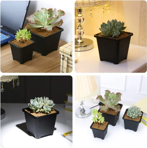 Vista 4 de Macetas de plástico para plantas, paquete de 100 macetas cuadradas para vivero de 2.2 pulgadas, resistentes y reutilizables, contenedor de inicio