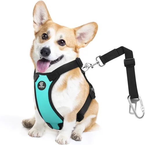 Vista 10 de VavoPaw cinturón de seguridad para perro, arnés de coche con hebilla ajustable para perro, cinturón de seguridad de nailon para mascotas, resistente