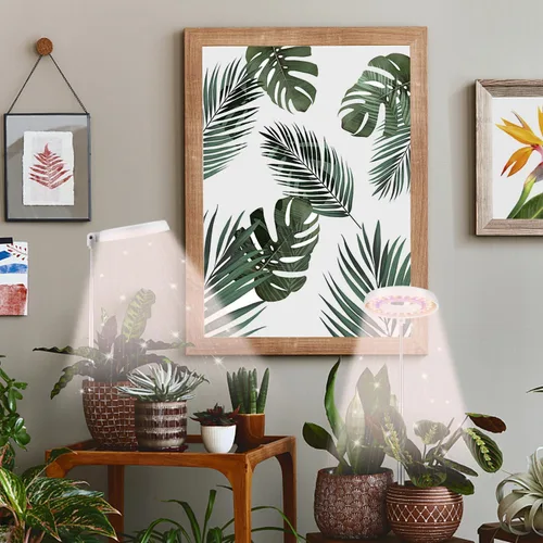 Vista 2 de GooingTop Luz LED de Crecimiento, Lámpara de Planta Halo para Plantas de Interior en Crecimiento, Luz Blanca Baja para Suculentas y Plantas Pequeñas