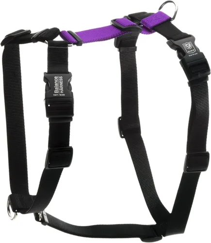 Vista 13 de Arnés Blue-9 con Hebilla para Cuello, Ajuste Completamente Personalizable, Arnés Antijalón, Ideal para Entrenamiento y Obediencia de Perros Azul