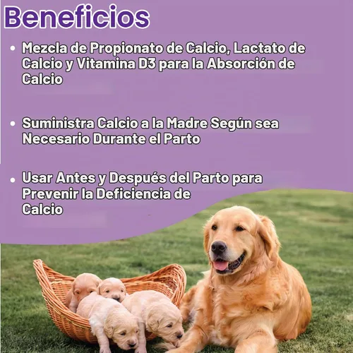 Vista 2 de La pasta de calcio canina Whelping combina propionato de calcio, lactato de calcio y vitamina D3 para una mejor absorción de calcio
