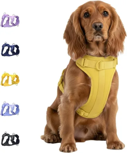 Vista 14 de Dog Harness - No Pull Adjustable Front Clip Vest with Soft Padding, 3Leash Clips, and No-Choke Oxford Design Comfort for Small, Medium, and Large