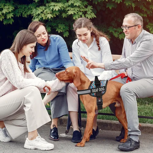Vista 7 de Dogline Unimax - Arnés para perro con parches para perros sordos reflectantes sin tirones, correas ajustables, neopreno transpirable para médicos