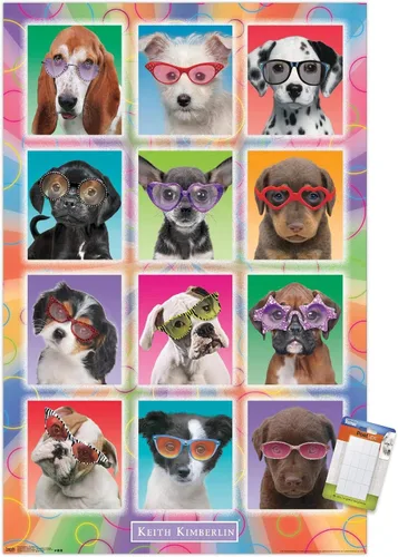 Vista 17 de Trends International Keith Kimberlin - Póster de pared con diseño de cachorros, gafas de sol, 14.725 x 22.375 pulgadas, versión enmarcada de madera
