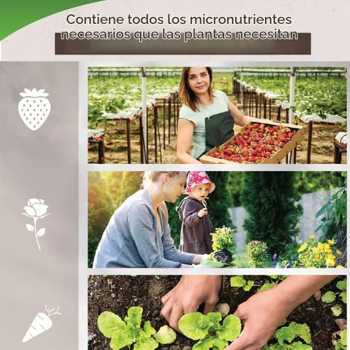 Vista 3 de Kit de nutrientes hidropónicos: cultiva, florece, micro alimento para plantas para cultivar verduras, frutas, flores, hierbas para suelo