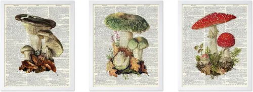 Vista 7 de Poster Master Póster botánico vintage de 3 piezas, estampado floral retro, regalo para artistas, amigos, flores de acuarela, brillante, azul