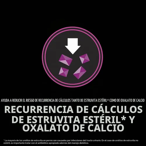 Vista 7 de Purina Pro Plan Veterinary Diets UR Fórmula para Perros con Problemas Urinarios Ox/St - Pienso Seco para Perros - Bolsa de 6 lb
