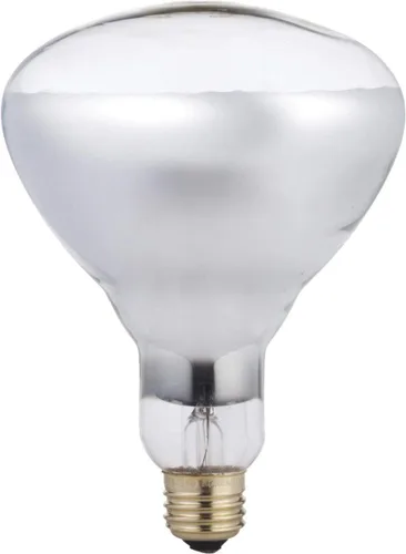 Vista 3 de Phillips 416743 - Bombilla de luz de inundación transparente BR40 de 250 W, paquete de 4