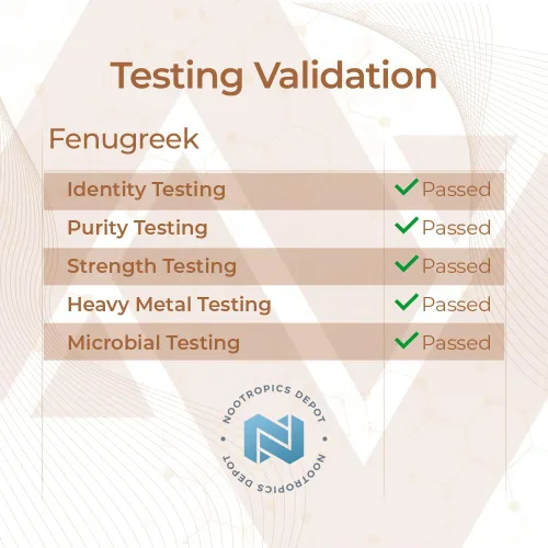 Vista 8 de Nootropics Depot Cápsulas de extracto de fenogreco 500 mg 60 ct 3% de trigonelina, 1% de protodioscina Trigonella foenum-graecum Estado
