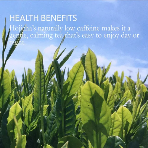 Vista 8 de Hojicha Powder - Polvo de té verde tostado japonés Sabor suave y tostado Bajo en cafeína Perfecto para lattes, hornear y postres Vegano, sin