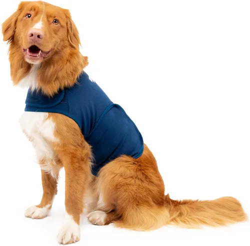 Vista 15 de Camisa Mellow Shirt para calmar la ansiedad de perros, Cypress