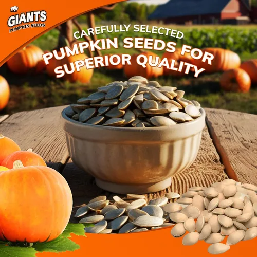 Vista 3 de GIANTS Semillas de Calabaza - Semillas de Calabaza con Cáscara, Semillas de Calabaza para Comer, Tostadas y Saladas, Semillas de Calabaza Enteras