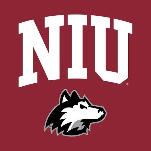 Vista 451 de NCAA Arch Logo, camiseta juvenil color del equipo, universidad - universidad