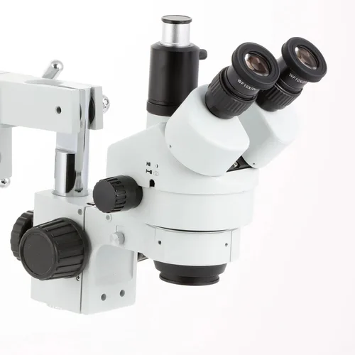 Vista 2 de AmScope SM-4TPX microscopio profesional trinocular estéreo con control de enfoque simultáneo, oculares WH10x, aumento de 3,5-45X, objetivo de zoom