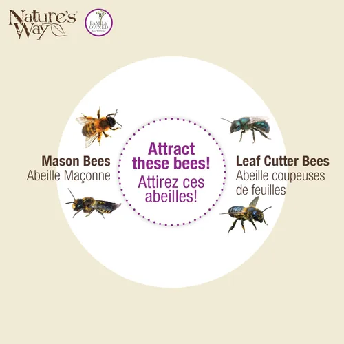 Vista 7 de Nature's Way Productos para Aves PWH1-B Casa de Abeja Púrpura