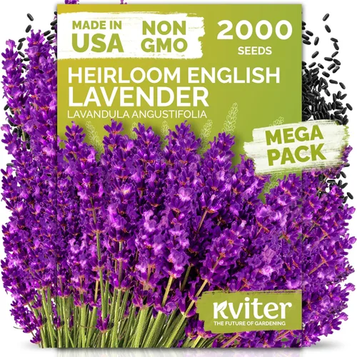 Vista 29 de KVITER 1000 semillas de quinua de cordero (Chenopodium Album) - Hierbas comestibles autóctonas, ideales para jardines de hierbas orgánicas
