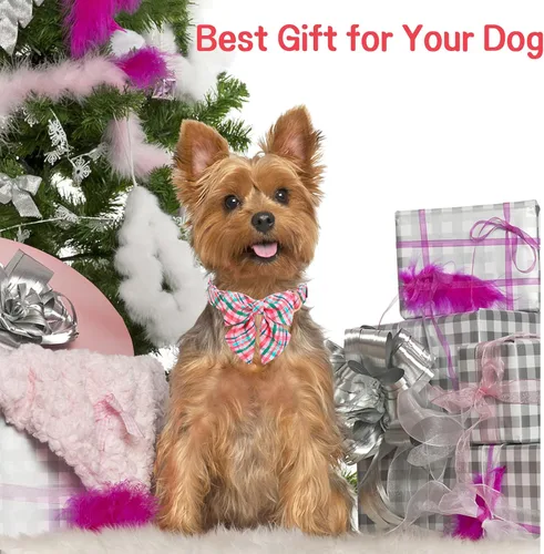 Vista 56 de Unique style paws - Collar para perros con corbatín, collar ajustable para perros y gatos, pequeño, mediano y grande