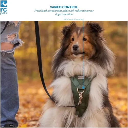 Vista 4 de RC Pets Tempo - Arnés para perro sin tirones, talla XS, color negro jaspeado Azalea brezo