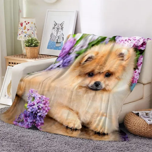 Vista 2 de Mantas de forro polar Pomeranian – Manta de bebé para niñas y niños – Manta de franela ligera para cama, cuna, cochecito – 30 x 40 pulgadas