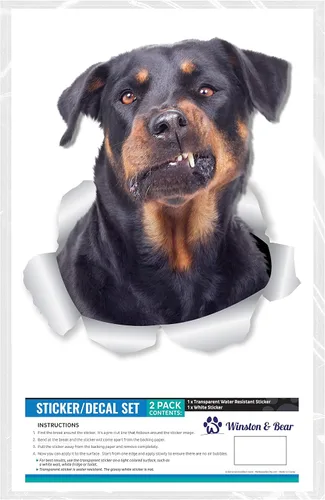Vista 6 de Winston & Bear Calcomanías divertidas de pared para perros Rottweiler, paquete de 2, calcomanías 3D Rottie para paredes, automóviles, inodoro y más