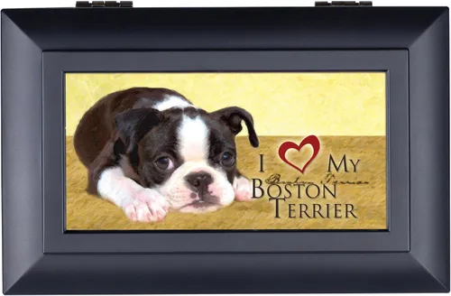 Vista 2 de Cottage Garden Love My Boston Terrier - Joyero negro mate con caja de música que reproduce un mundo maravilloso