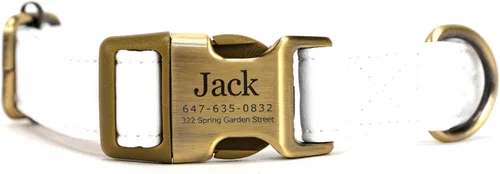 Vista 26 de Collar de perro personalizado con nombre y número de teléfono grabado, collar ajustable personalizado para cachorros, collar de algodón orgánico