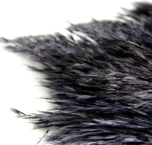 Vista 6 de Zacate de las Pampas Negro para Decoración del Hogar - Elegante Decoración Boho - Tallos de Alta Calidad de Zacate de las Pampas - Perfecto
