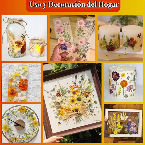 Vista 5 de 85 piezas de flores y hojas prensadas secas en otoño para manualidades de Naranja y amarillo 85 piezas