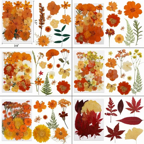 Vista 3 de 350 piezas de flores secas de otoño para manualidades, flores secas