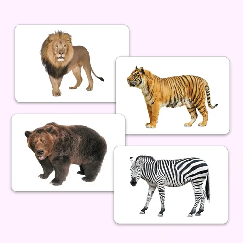 Vista 3 de Hungry Brain Tarjetas didácticas de números para niños pequeños de 1 mes a 6 años Tarjetas de aprendizaje de números Montessori para niños