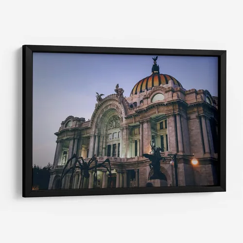 Vista 5 de Canvas Lab Petite Maman in Bellas Artes by DaguerroMX 11 x 7 in Fine Art Framed Print, Frame Color: Black, With Mat