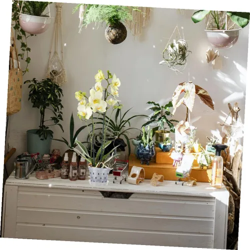 Vista 6 de GALPADA 2 juegos de macetas transparentes transpirables para orquídeas con platillos, macetas ranuradas de plástico transparente para orquídeas