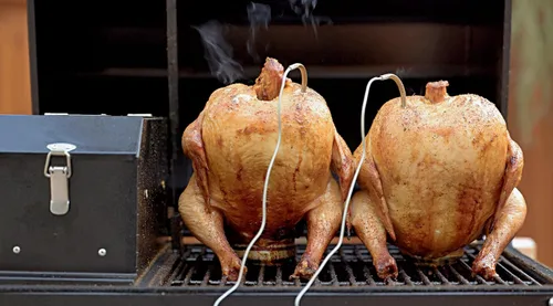 Vista 9 de Freedom - Parrilla de pellets portátil y ahumador: pantalla digital, sondas duales de carne, área de cocción de 242 pulgadas cuadradas, alimentado