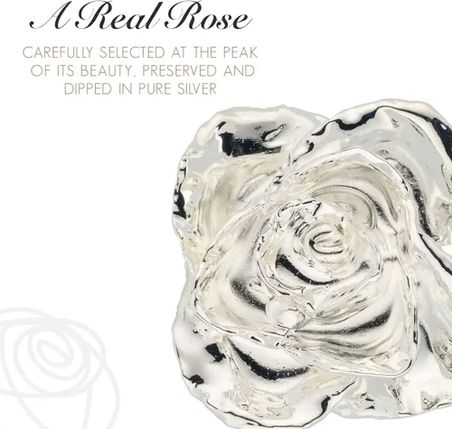 Vista 2 de Forever Rose - Rosa real sumergida en plata, rosa preservada hecha a mano en jarrón de corazón acrílico y lujosa caja de regalo dorada, regalo