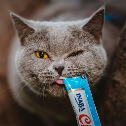 Vista 7 de INABA - Golosinas Churu para gatos, puré cremoso para gatos, sin cereales, que se puede lamer y exprimir / suplemento con vitamina E y taurina, 0.5