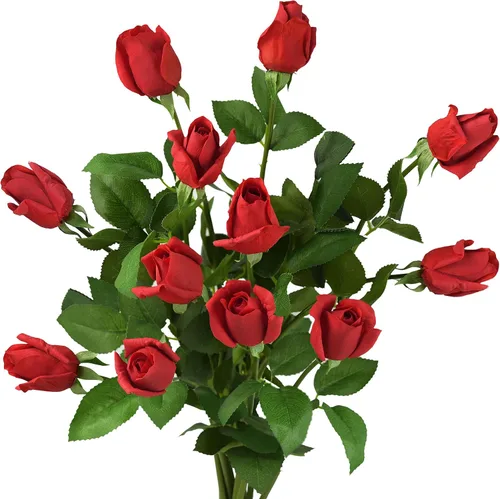 Vista 10 de FiveSeasonStuff Albaricoque rosado tallo largo de 21 pulgadas, rosas de tacto real, flores artificiales de seda, pétalos se sienten y se ven como